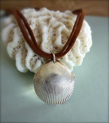Queenie Scallop shell